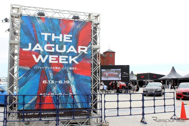 THE JAGUAR WEEK