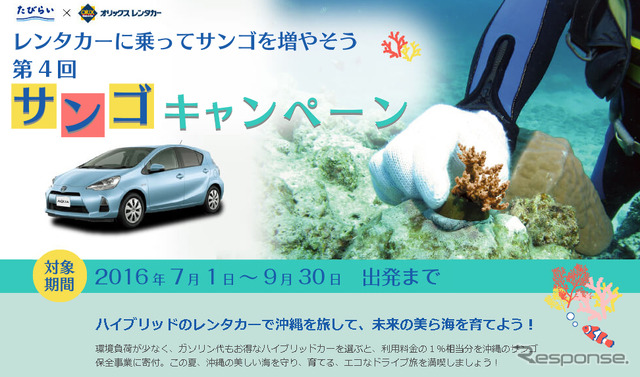 レンタカーに乗って、サンゴを増やそう