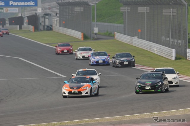 Fuji Green Cup
