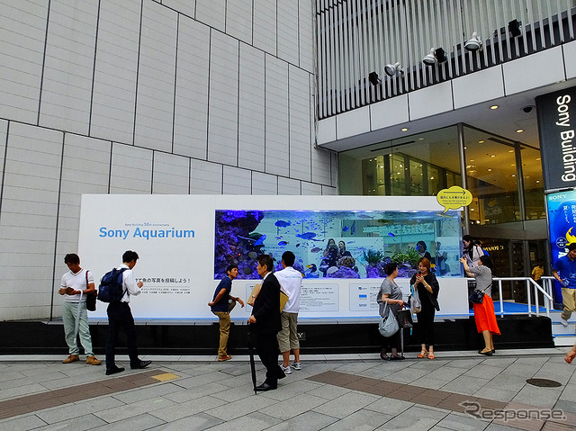 『Sony Aquarium』