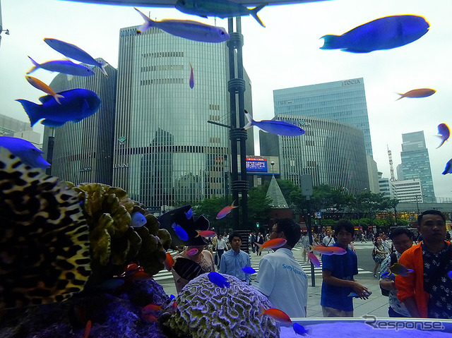 『Sony Aquarium』