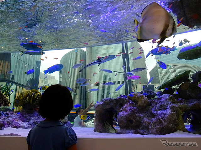 『Sony Aquarium』