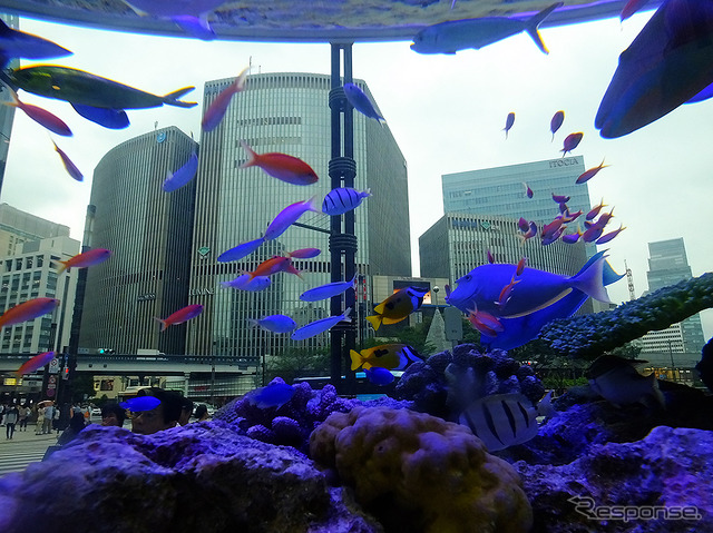 『Sony Aquarium』