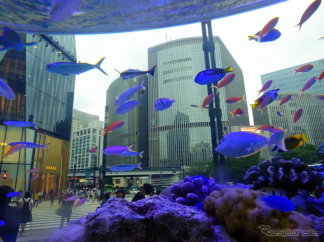 『Sony Aquarium』