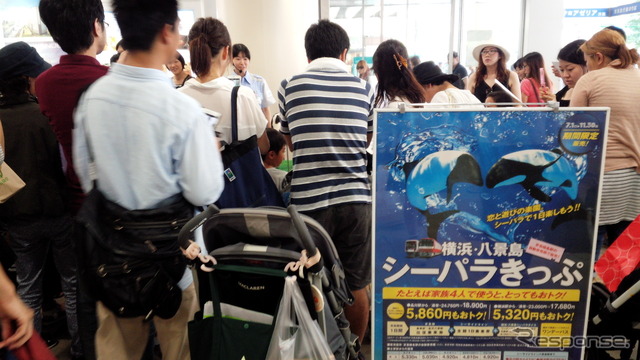 京急川崎駅に登場したケープペンギン