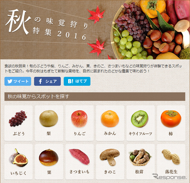 マピオン 秋の味覚狩り特集