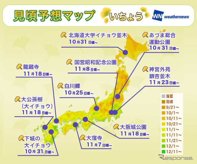 全国の紅葉見頃予想：いちょう