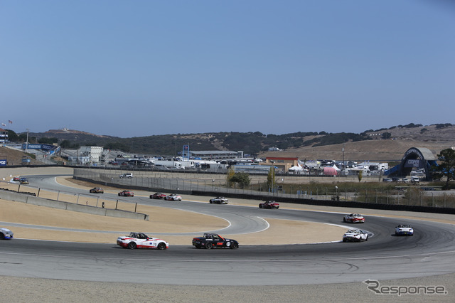 MX-5カップ・インビテーショナル 《撮影 ケニー中嶋》