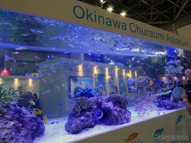沖縄ブースでは熱帯魚の巨大な水槽が用意された