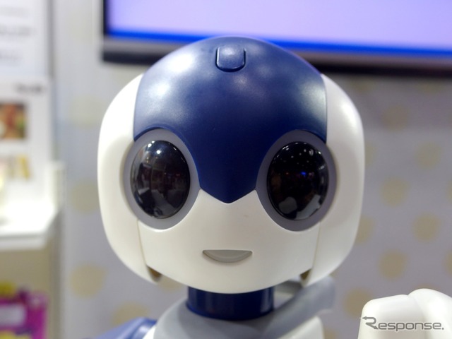 タカラトミーもっとなかよしRobi jr.(ロビジュニア) 〈撮影 高木啓〉
