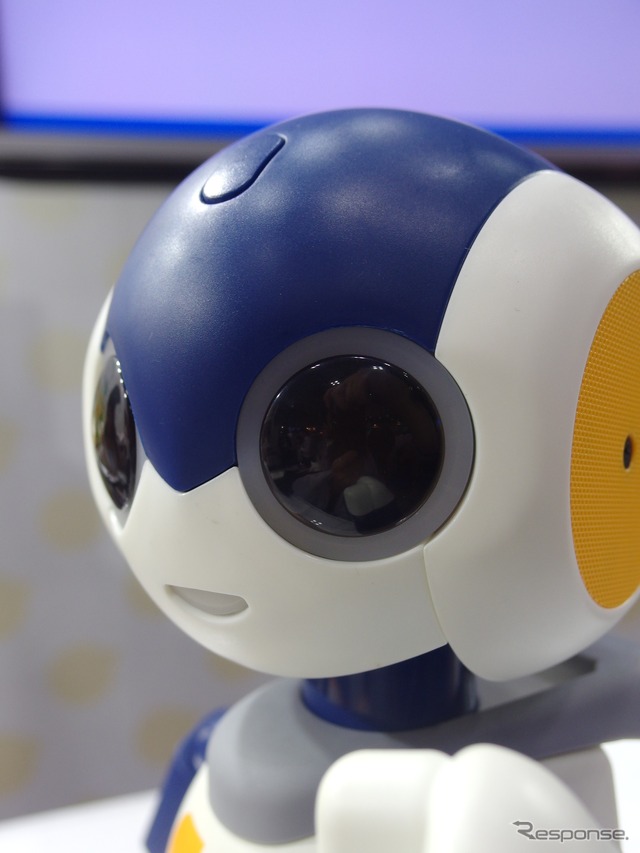 タカラトミーもっとなかよしRobi jr.(ロビジュニア) 〈撮影 高木啓〉