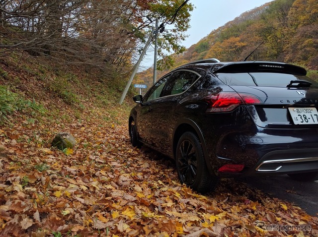 車山高原に上る道はかなり紅葉が進んでいる。