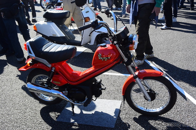Popgal［MS50E］（1982年）