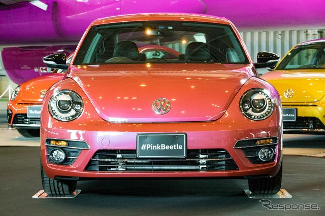 #PinkBeetle