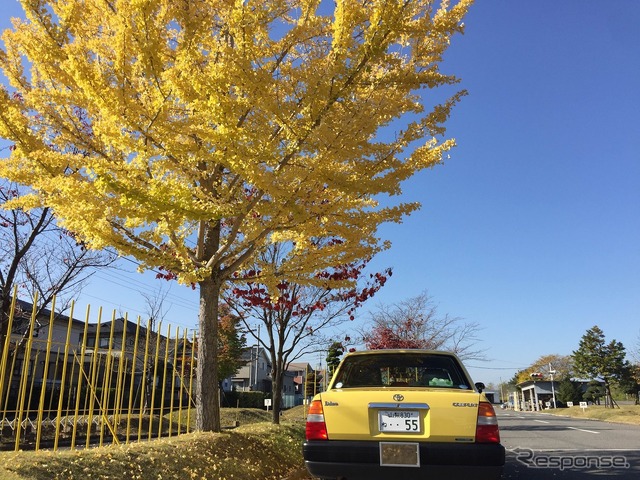 韮崎自動車教習所運転体験