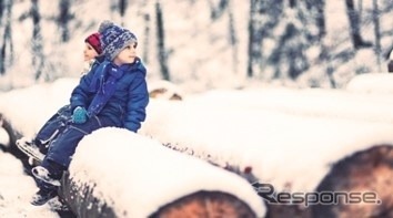 SNOW LIGHT FOREST
