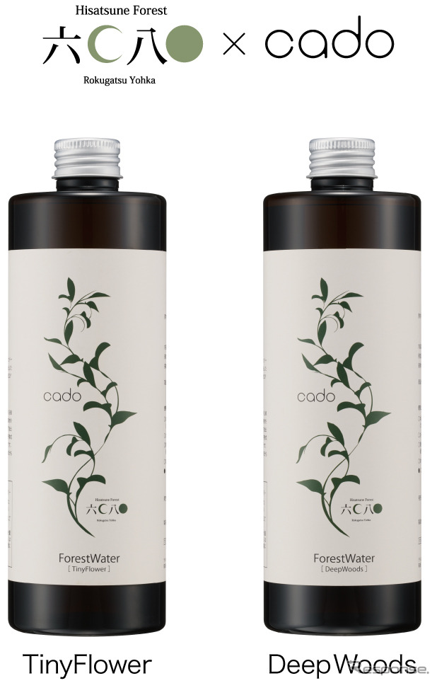 ForestWater