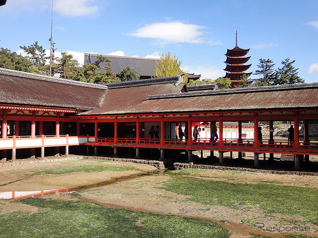 干潮時の嚴島神社と青い空