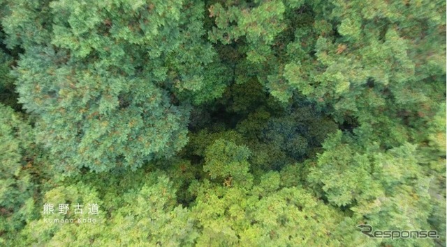 熊野古道