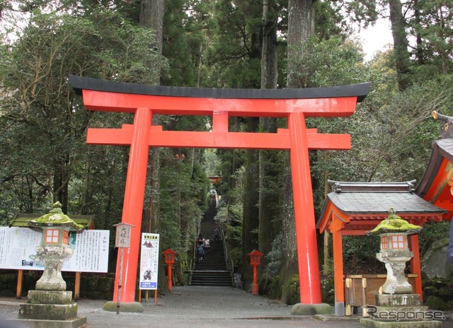 箱根神社の参道