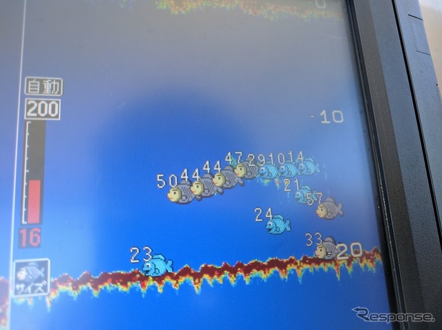 GPS/魚群探知機。水深と現在地、行先の方向が一目でわかるばかりか、場所、大きさ、魚の数まで表示される魚群探知機。魚の絵が色分けされるので一目瞭然だ。この時も50センチを超える大物がいくつも真下にいることを示した。