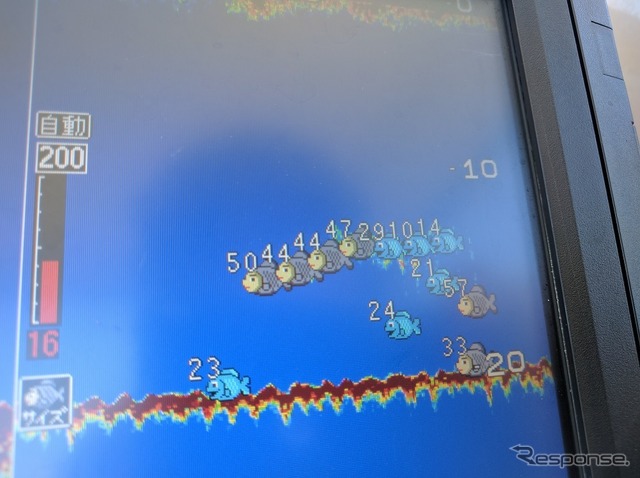 ＧＰＳ／魚群探知機。水深と現在地、行先の方向が一目でわかるばかりか、場所、大きさ、魚の数まで表示される魚群探知機。魚の絵が色分けされるので一目瞭然だ。この時も50センチを超える大物がいくつも真下にいることを示した。