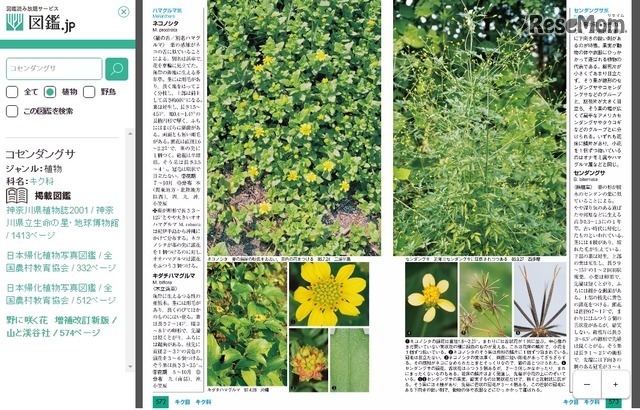 図鑑閲覧画面（有料）