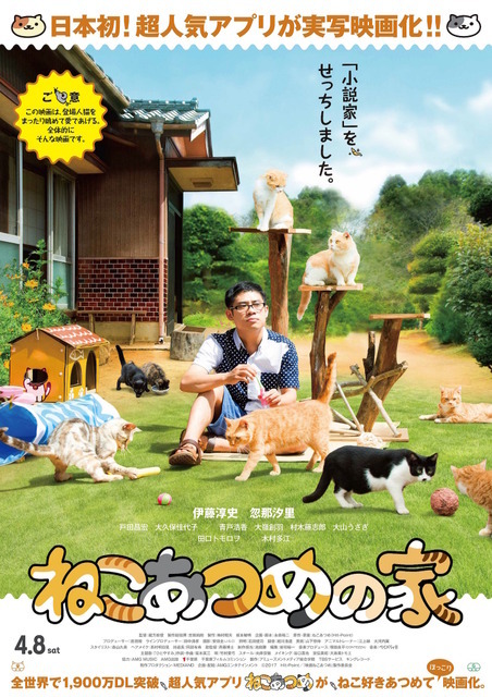 『ねこあつめの家』 キャット版ポスター(C)「映画ねこあつめ」製作委員会