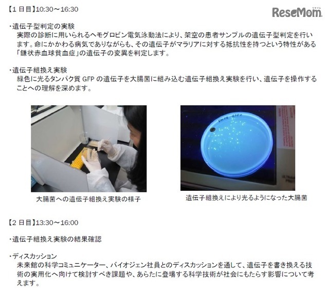 プログラム内容