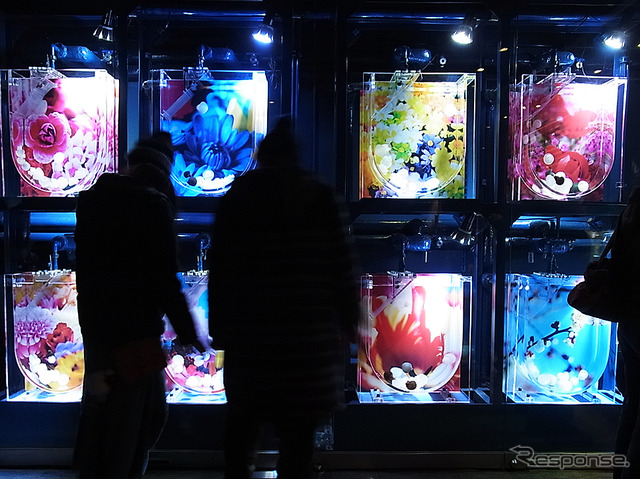 すみだ水族館「ふわきゅん、クラゲまつり」