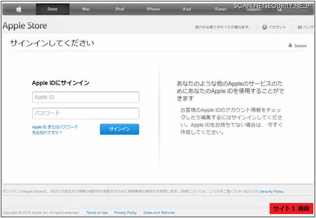 確認されたフィッシングサイト（サイト1）