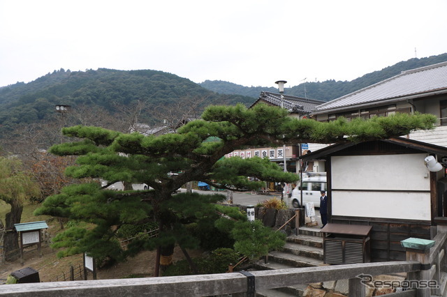 【山口県ツアー前編】岩国・周南エリアをクルマで観光！知られざるオススメルートを紹介