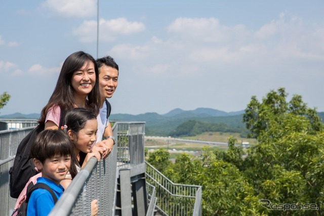 樹冠タワー