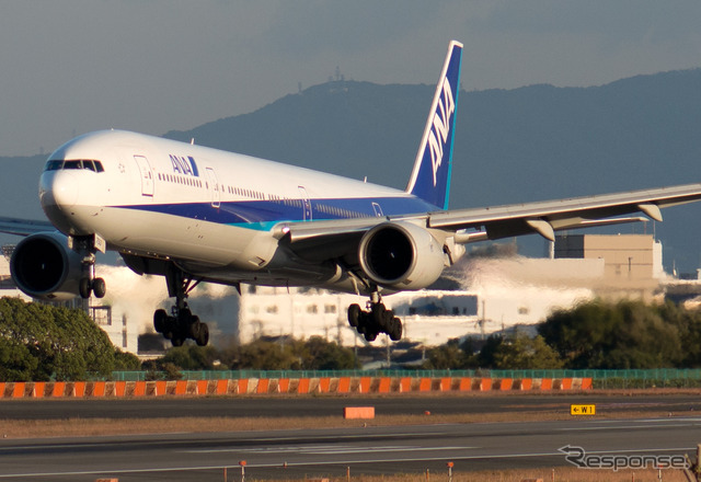 ANA(イメージ)