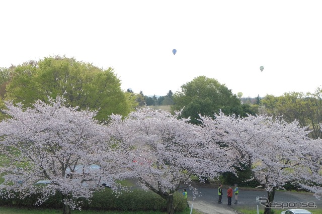 熱気球ホンダグランプリ・渡良瀬バルーンレース（写真は2016年）