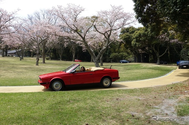 日本平ホテルの庭園の桜並木の下を行くスパイダーザガート（ビトルボフェスタ2017）。