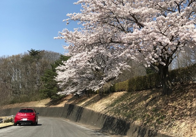 カーサイクリング