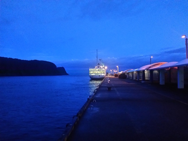 大型客船が早朝に伊豆大島に到着。風向きによって岡田港か元町港かどちらかに着岸する