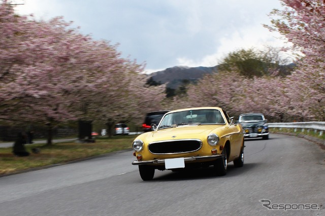 ボルボ P1800