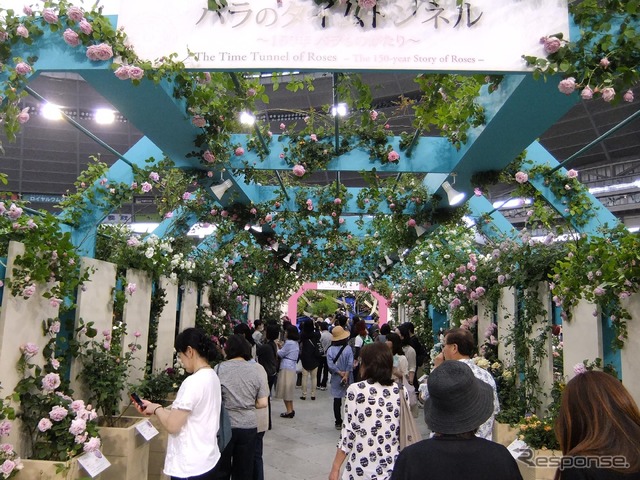 会場風景(第19回国際バラとガーデニングショウ)