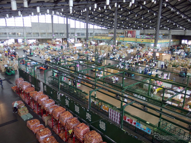 東京大田市場