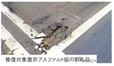 コンテナの構造上、積み下ろしをすることによって割れ目ができる。ここからヒアリが地面に営巣する可能性がある。