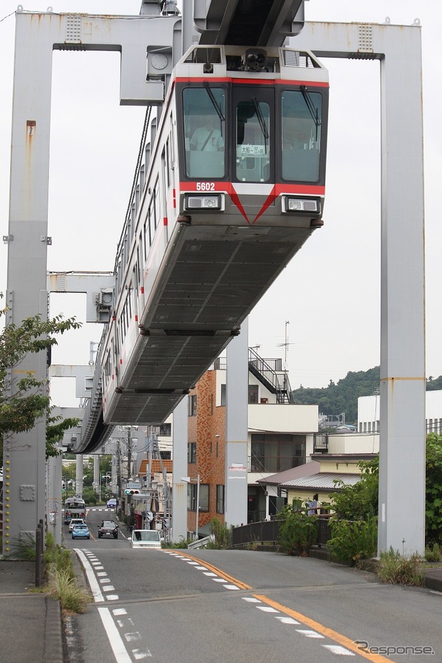 湘南モノレールの車両は5000系で統一されているが、各編成ごとに色が異なる。