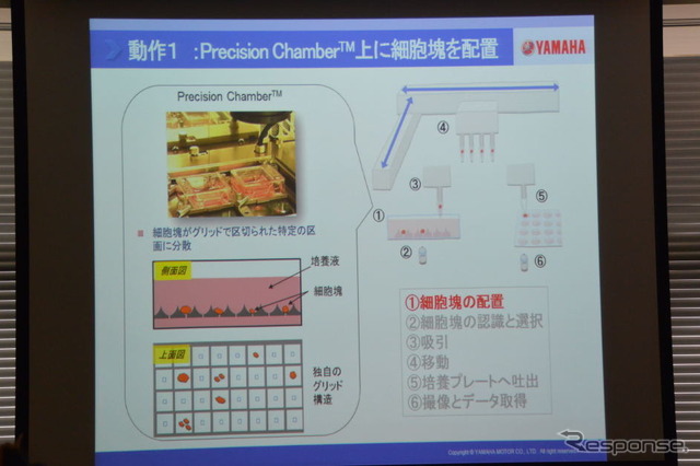 ヤマハ発動機セルハンドラ―発表会
