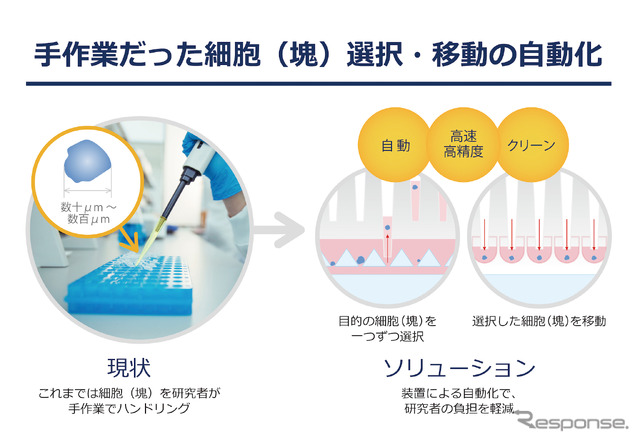 セルハンドラ―