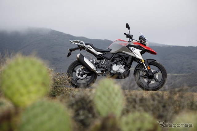 BMW G310GS