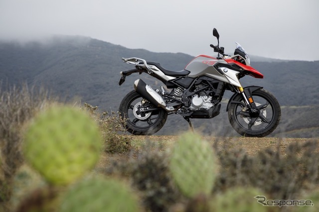 BMW G310GS