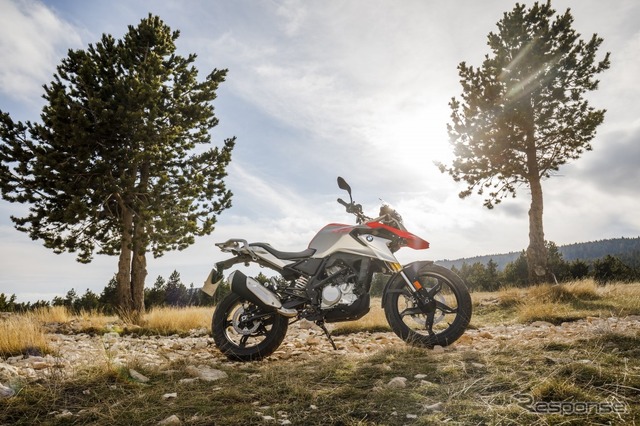 BMW G310GS