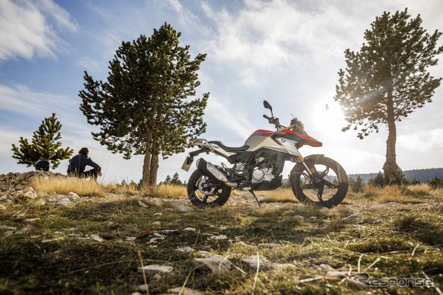 BMW G310GS