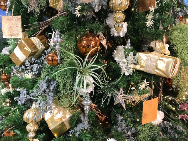 クリスマス(イメージ)